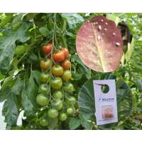 Read green gardener Reviews